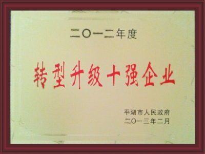 Transformation and Upgrading of Top Ten Enterprises